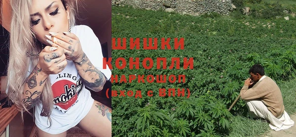 стаф Протвино