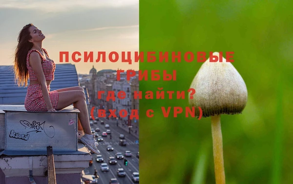 стаф Протвино